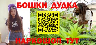 индика Кинель
