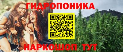 круглые Кингисепп