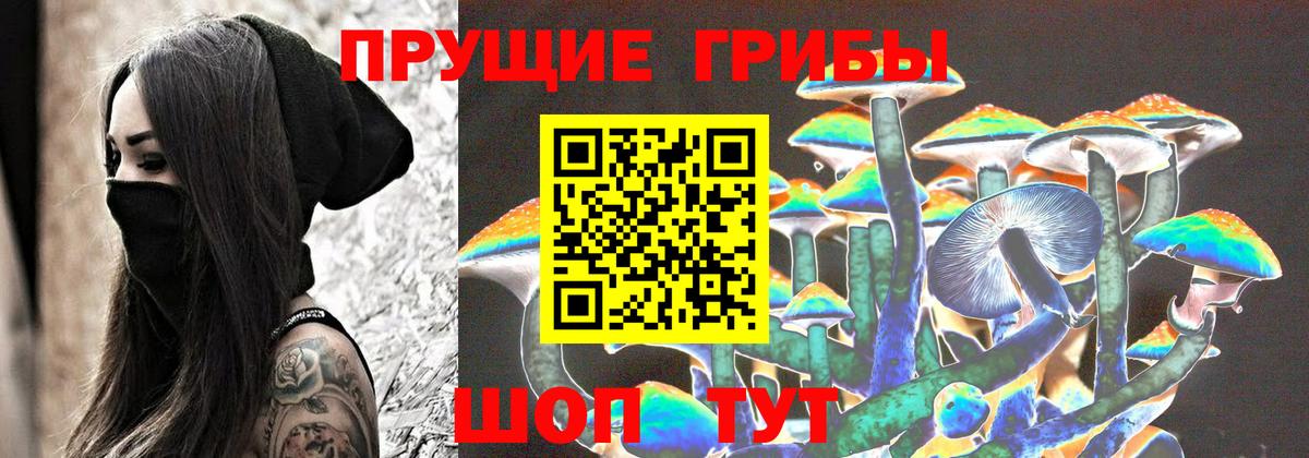 Вологда  Псилоцибиновые грибы Magic Shrooms  Вход с VPN  Галлюциногенные грибы прущие грибы 