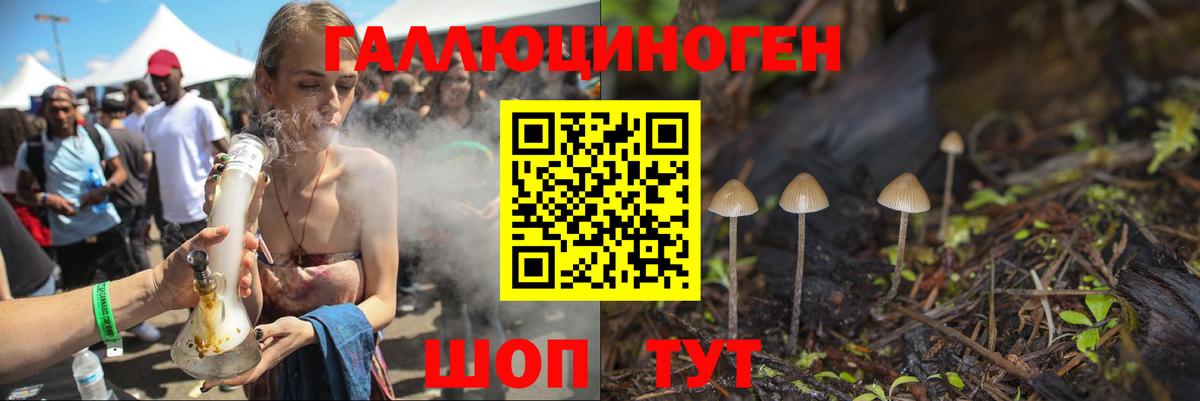 Псилоцибиновые грибы ЛСД Вологда
